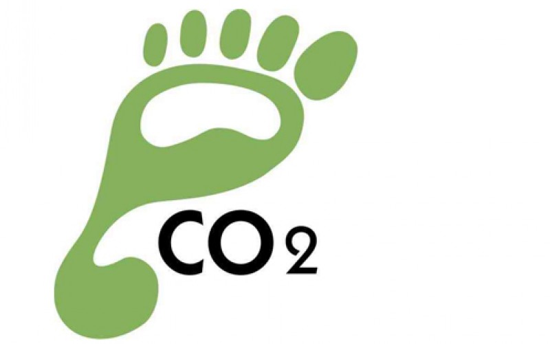 VIII EPPP Sustentável: CO2 neutro